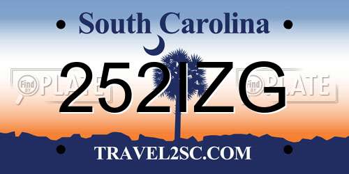 252IZG South Carolina License Plate