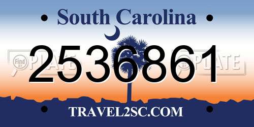 2536861 South Carolina License Plate