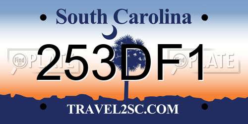 253DF1 South Carolina License Plate