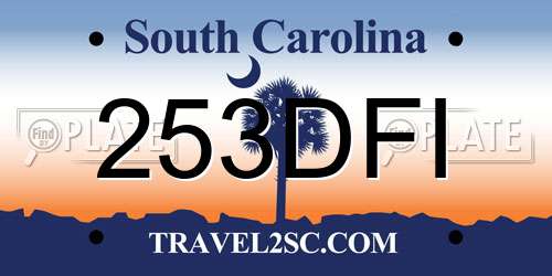 253DFI South Carolina License Plate