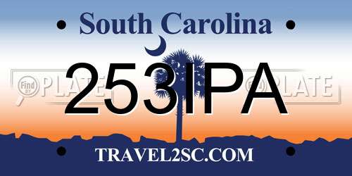 253IPA South Carolina License Plate