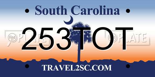 253TOT South Carolina License Plate
