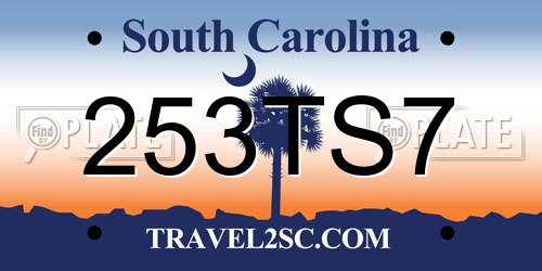 253TS7 South Carolina License Plate