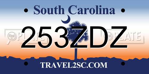 253ZDZ South Carolina License Plate