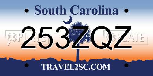 253ZQZ South Carolina License Plate