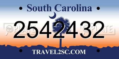 2542432 South Carolina License Plate