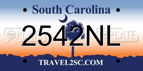 2542NL South Carolina License Plate