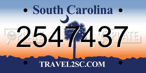 2547437 South Carolina License Plate