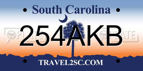 254AKB South Carolina License Plate