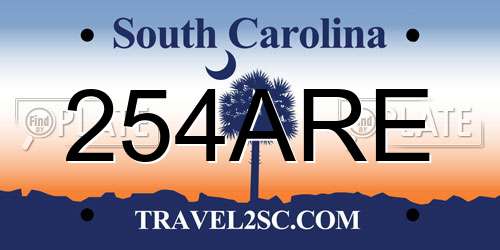 254ARE South Carolina License Plate