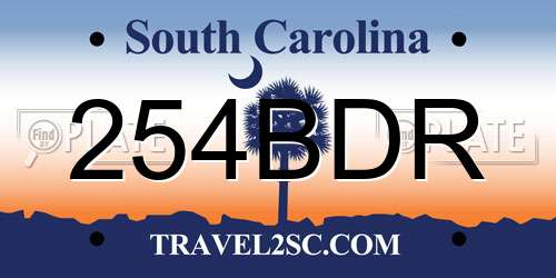254BDR South Carolina License Plate
