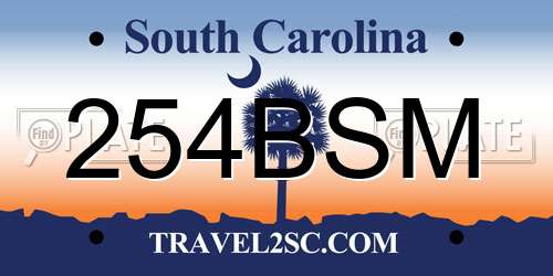 254BSM South Carolina License Plate