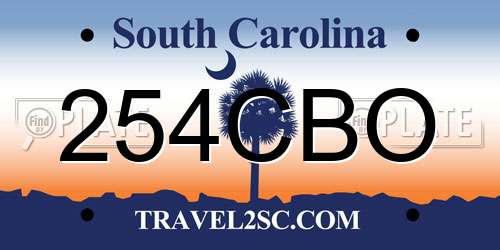 254CBO South Carolina License Plate