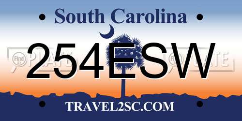 254ESW South Carolina License Plate