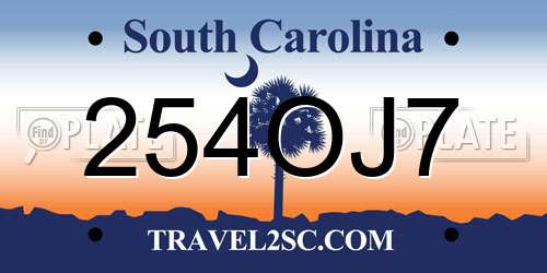 254OJ7 South Carolina License Plate