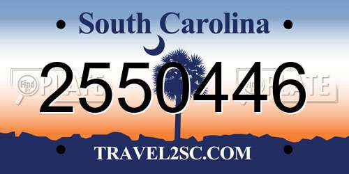 2550446 South Carolina License Plate