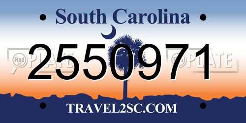 2550971 South Carolina License Plate