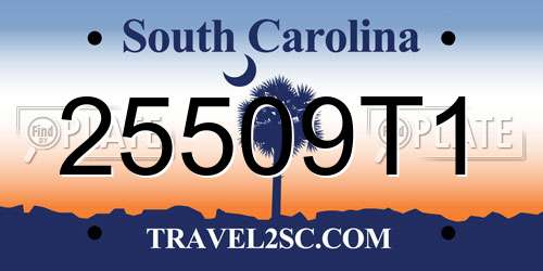25509T1 South Carolina License Plate