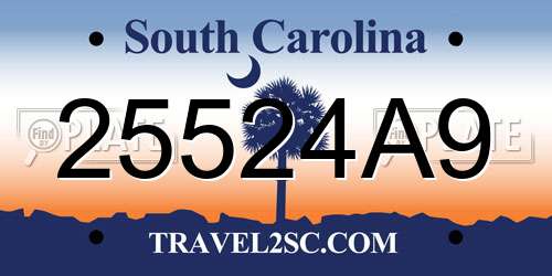 25524A9 South Carolina License Plate