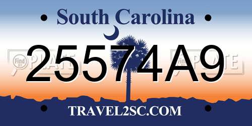 25574A9 South Carolina License Plate