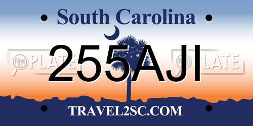 255AJI South Carolina License Plate