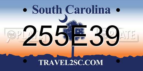 255E39 South Carolina License Plate