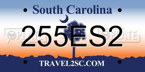 255ES2 South Carolina License Plate