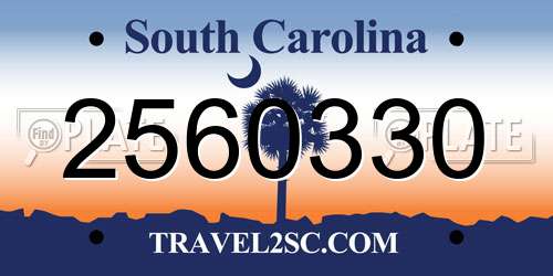 2560330 South Carolina License Plate