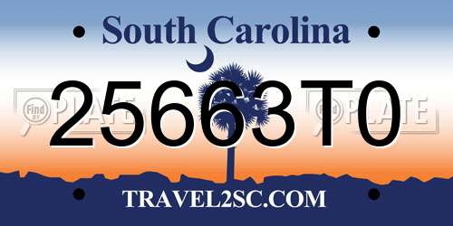 25663T0 South Carolina License Plate
