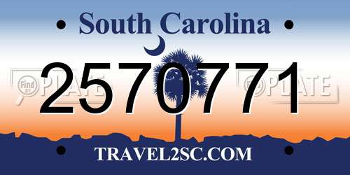 2570771 South Carolina License Plate
