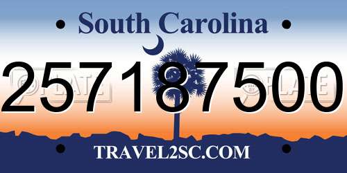 257187500 South Carolina License Plate