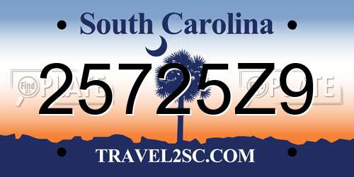 25725Z9 South Carolina License Plate