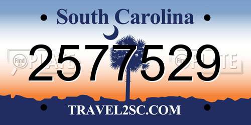 2577529 South Carolina License Plate