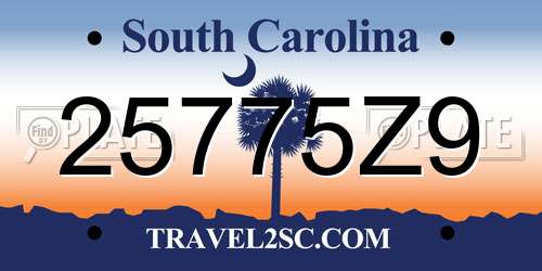 25775Z9 South Carolina License Plate