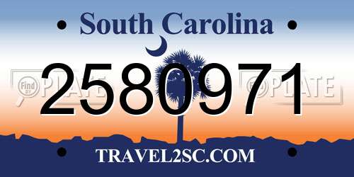 2580971 South Carolina License Plate