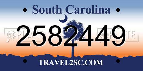2582449 South Carolina License Plate