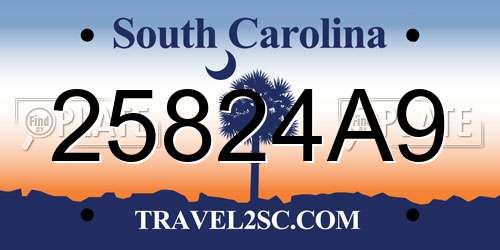 25824A9 South Carolina License Plate