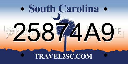 25874A9 South Carolina License Plate