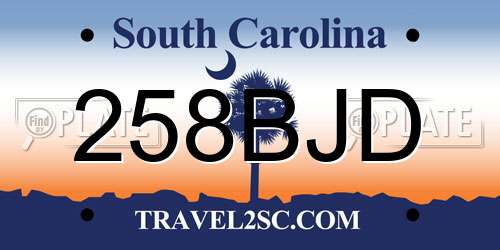 258BJD South Carolina License Plate