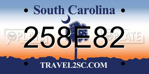 258E82 South Carolina License Plate