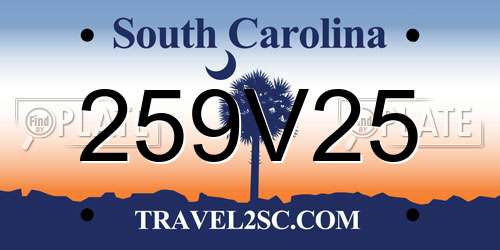 259V25 South Carolina License Plate