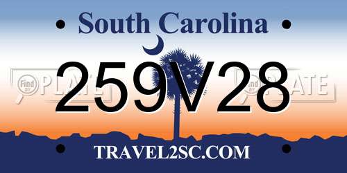 259V28 South Carolina License Plate