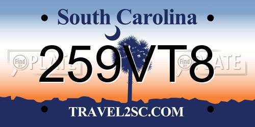259VT8 South Carolina License Plate