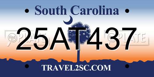 25AT437 South Carolina License Plate