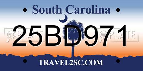 25BD971 South Carolina License Plate