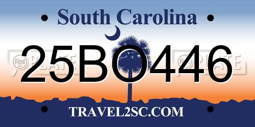 25BO446 South Carolina License Plate