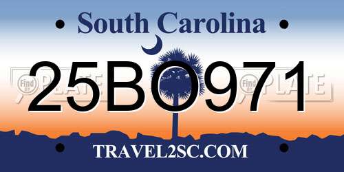 25BO971 South Carolina License Plate