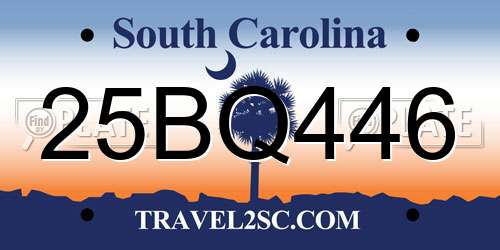 25BQ446 South Carolina License Plate