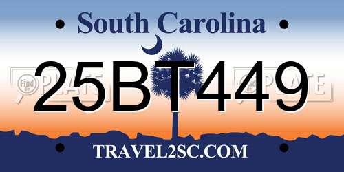 25BT449 South Carolina License Plate