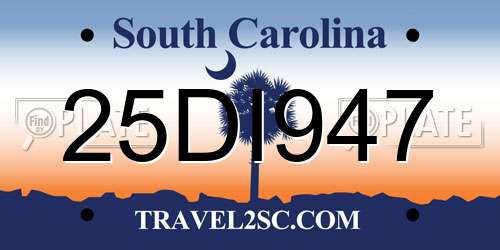 25DI947 South Carolina License Plate